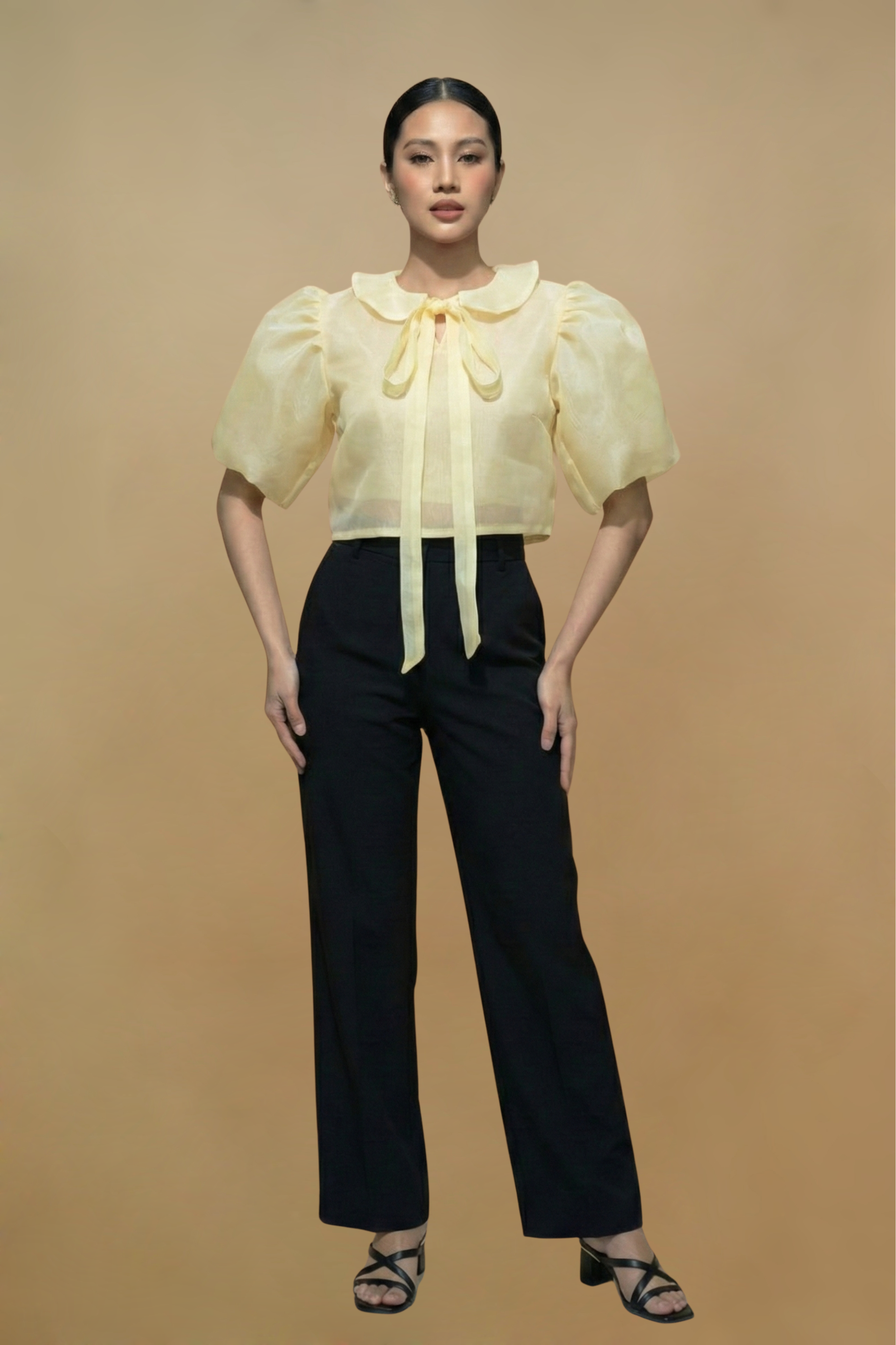 Beige Modern Filipiniana Kimona Top