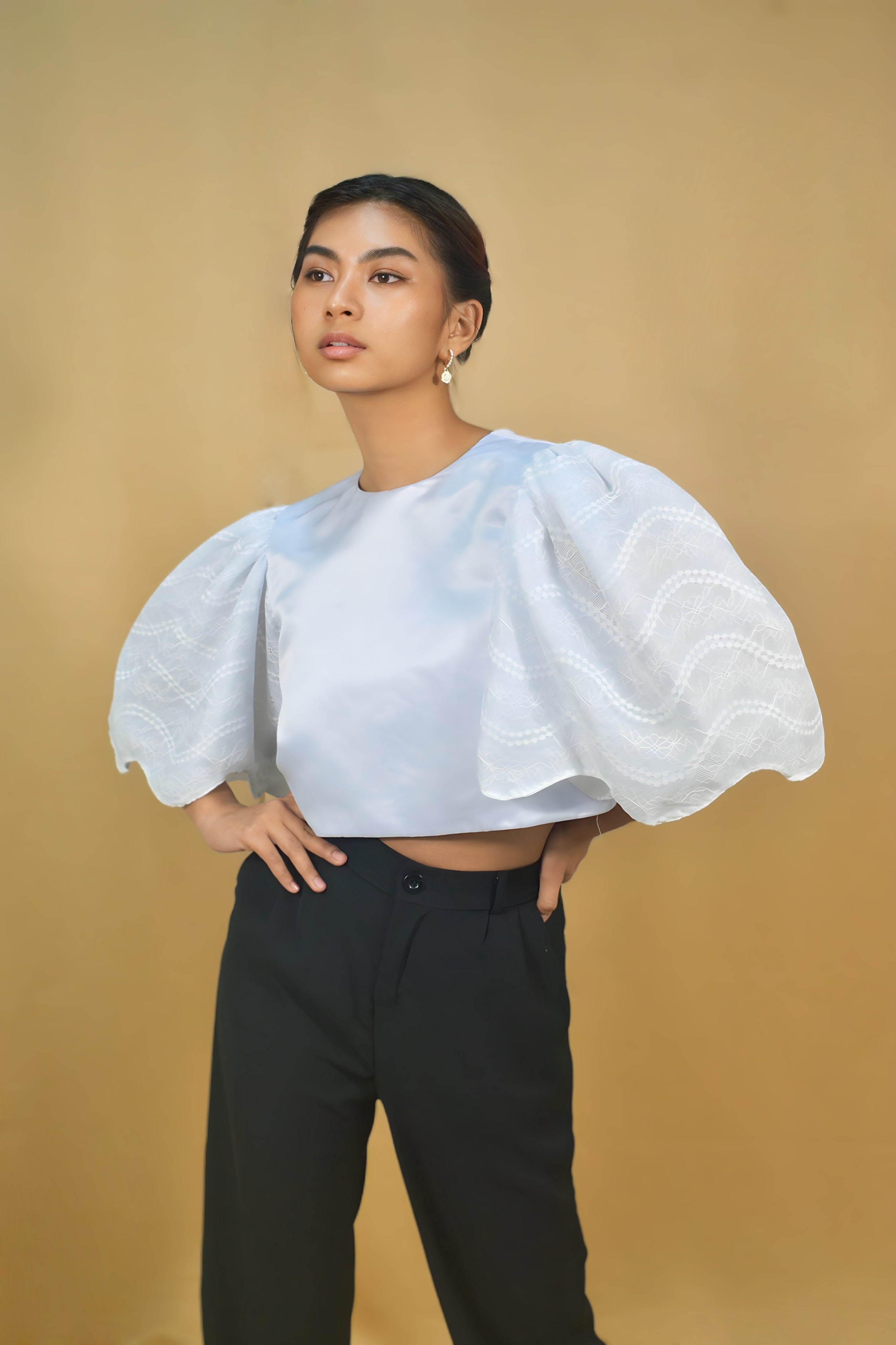 Filipiniana Top with Lace Sleeves Design