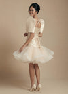 Baige Corset Filipiniana Dress