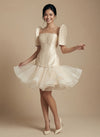 elegant Filipiniana Dress