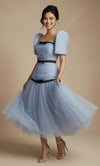 elegant Blue Filipiniana Dress

