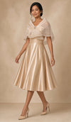 Modern Filipiniana Dress