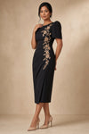 Elegant Filipiniana Dress