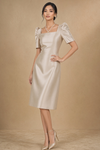 Premium Filipiniana Dress