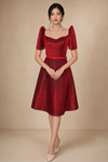 Elegant Filipiniana Dress