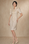 Elegant Filipiniana Dress