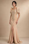 Modern Filipiniana Dress