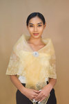 Chic Beige Filipiniana Alampay for Women